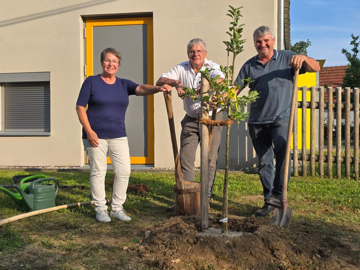 Baum Challenge Gemeinde Oberhausen